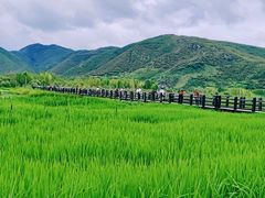-丽江泸沽湖景区