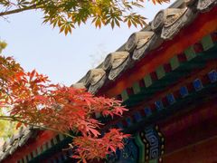 -月坛公园
