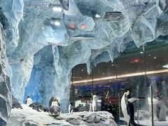 -帝企鹅自助餐厅•儿童岛•真企鹅(长隆企鹅酒店)