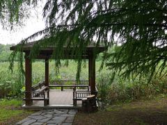 -同里国家湿地公园