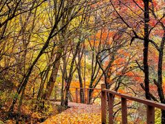 -叠溪松坪沟景区