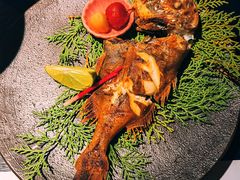 蒲烧红鲷-花潮料理艺食馆(成都万象城店)