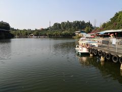 -观澜山水田园