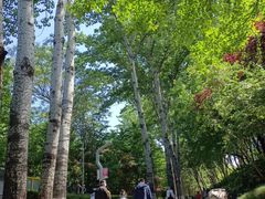 -西安市长乐公园