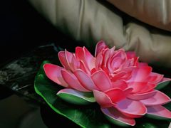 -富侨养生(康乾店)