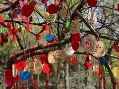 -宁波市保国寺古建筑博物馆