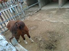 -意大利农场度假村