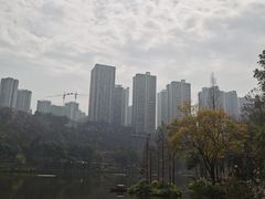 -重庆彩云湖湿地公园