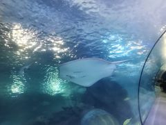 -太平洋海底世界