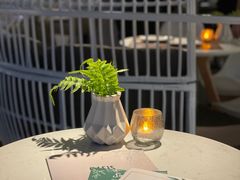 -Oasis Bar & Grill