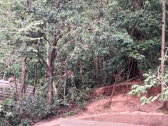 -黔灵山公园