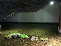 -几荷·恰似故人来(秀水广场店)