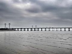 -宝安西湾红树林湿地公园