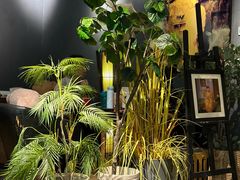 -咖法森林·咖啡  酒吧(天河店)