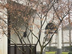 -杭州雅谷泉山庄酒店-餐厅
