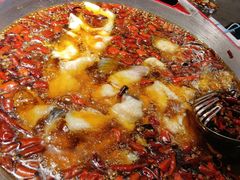 蜀龙阁水煮鱼-雲蜀龙阁·金牌水煮鱼(方庄店)