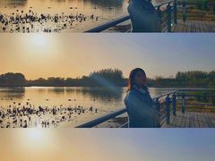 -大兴滨河森林公园