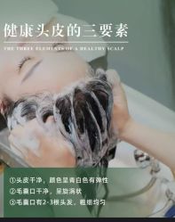 -Bollins波林丝•专研护发中心