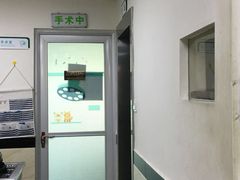 -安安宠医·安宠宠物医院