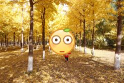 -北京科学中心儿童乐园