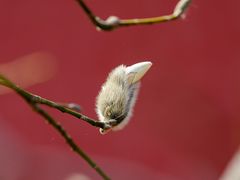 -东华门大街小区