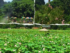 -东莞植物园