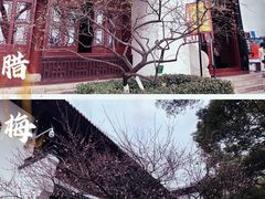 -黄鹤楼