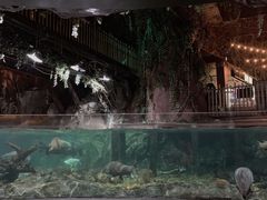 -暹罗海洋世界