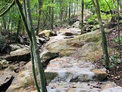 -广州市石门国家森林公园