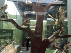 -国家自然博物馆