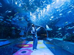 -海合安成都极地海洋公园