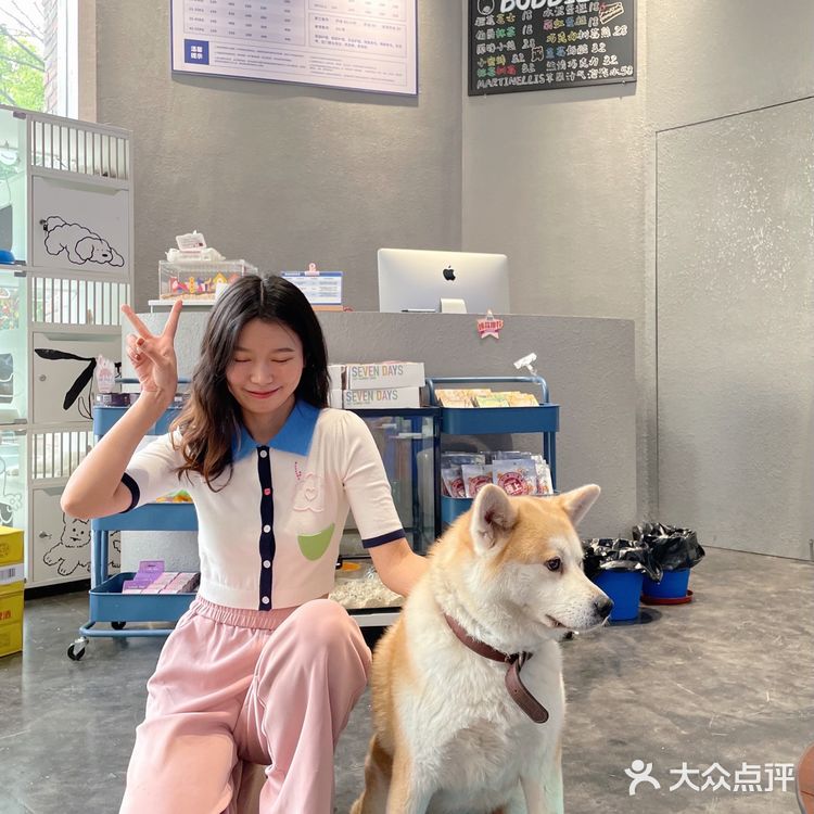 常州一家可以免费撸狗狗的下午茶店