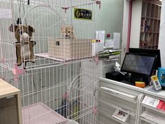 -酷迪(巴沟华联店)