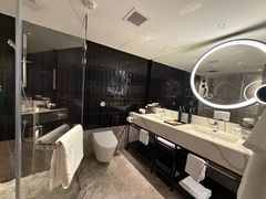 -新加坡乌节希尔顿酒店