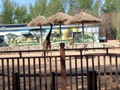 -北京野生动物园