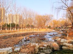 -燕郊植物园