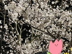 -梅赛德斯奔驰文化中心·停车场