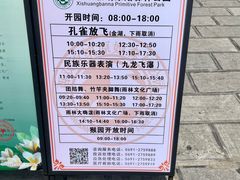 -西双版纳原始森林公园