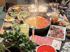 -大龙燚·旷野鲜火锅(广州首店)