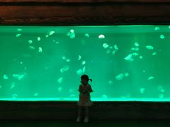 -华夏文旅西安度假区