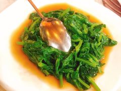 清炒豆苗-新加坡泰园村酒楼直营(新华路店)