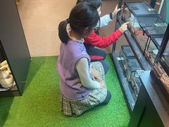 -FAIRYLAND龙族星球主题餐厅(凯丹广场店)