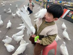 -成都欢乐谷