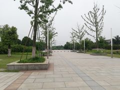 -九里河湿地公园