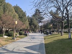 -西安唐皇城墙含光门遗址博物馆