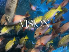 -太平洋海底世界