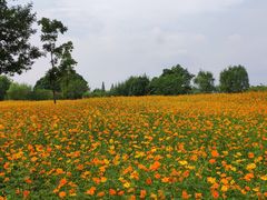 -良渚古城遗址公园