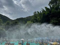 -西双版纳原始森林公园