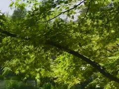 -洛阳市隋唐城遗址植物园