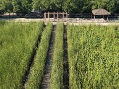 -河北村民俗体验园